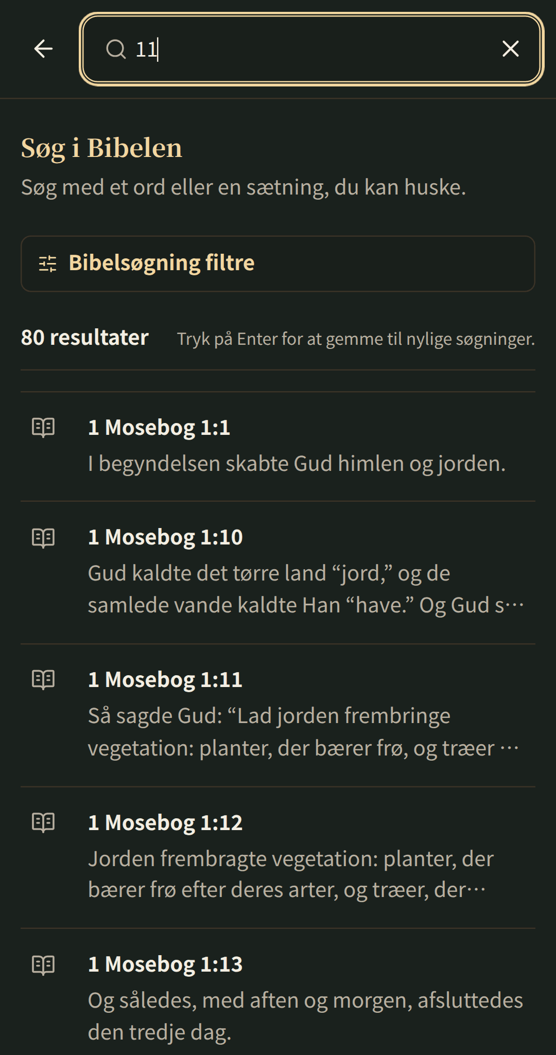 Fokuseret bibelsøgning med resultater, der åbnes i deres kapitel.