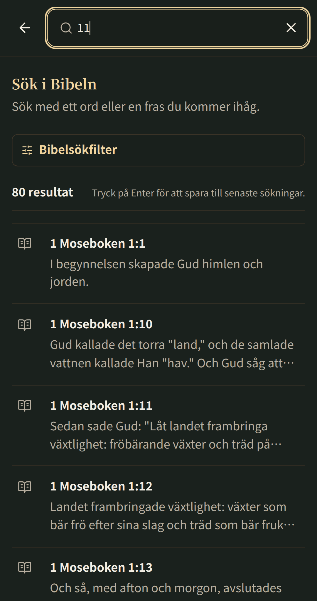 Fokuserad bibelsökning med resultat som öppnas i sitt kapitel.